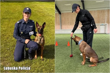 Z Żagania do Szwecji. Policjantka szkoliła psa do wykrywania zagrożeń