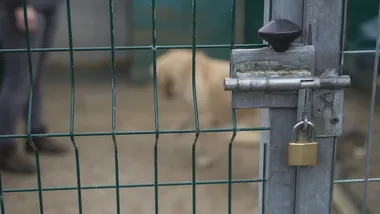 Nowy teren dla schroniska w Zielonej Górze. Będzie więcej wybiegów