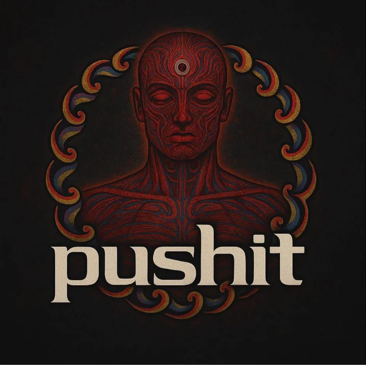 Grafika promocyjna wydarzenia Koncert PUSHIT — TOOL tribute band w Cafe Noir, Zielona Góra