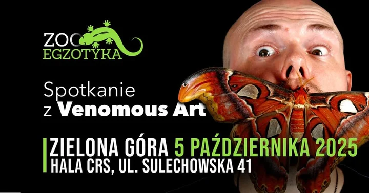 Obrazek przedstawia grafikę promocyjną wydarzenia Spotkanie z ekspertem od pająków i owadów w Zielonej Górze