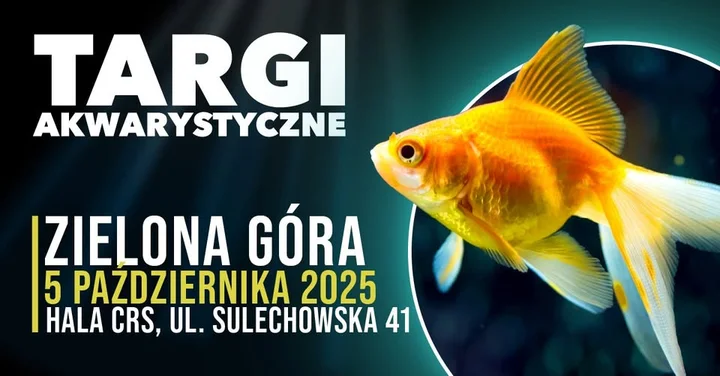 Obrazek przedstawia grafikę promocyjną wydarzenia Targi akwarystyczne w Zielonej Górze — 5 października 2025