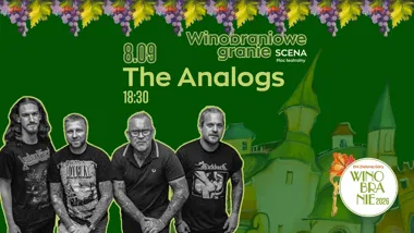 Grafika promocyjna wydarzenia The Analogs – koncert punkowy
