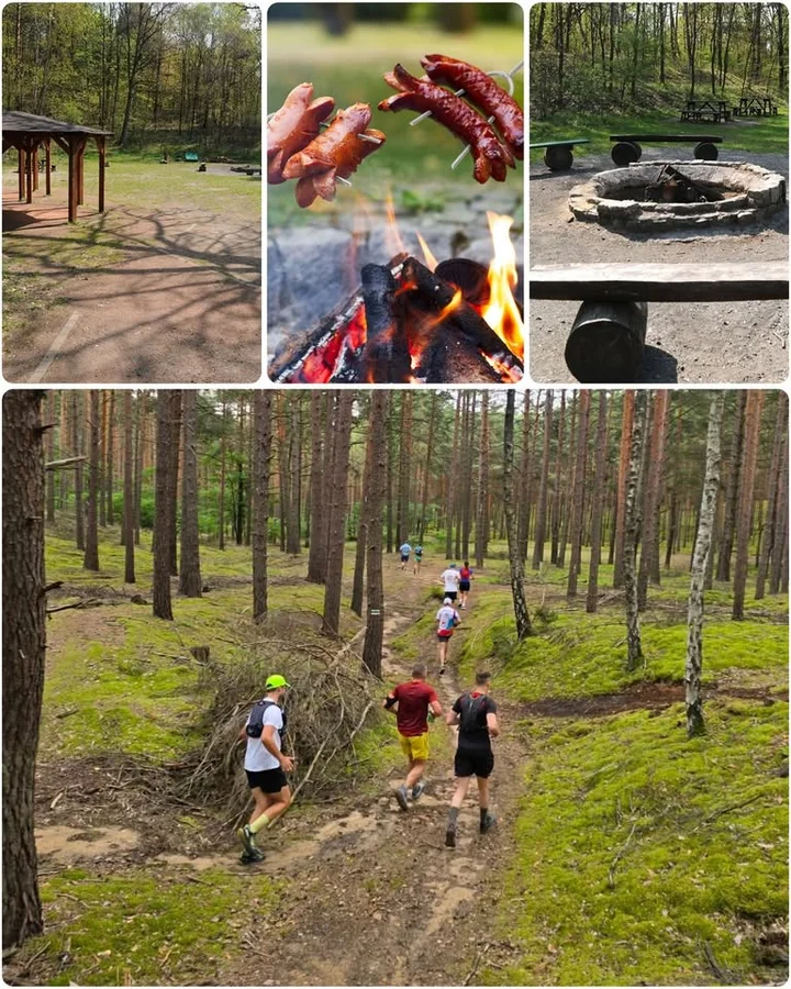 Grafika promocyjna wydarzenia WITAJ WIOSNO! — otwarty, towarzyski trening biegowy ze wspólnym ogniskiem