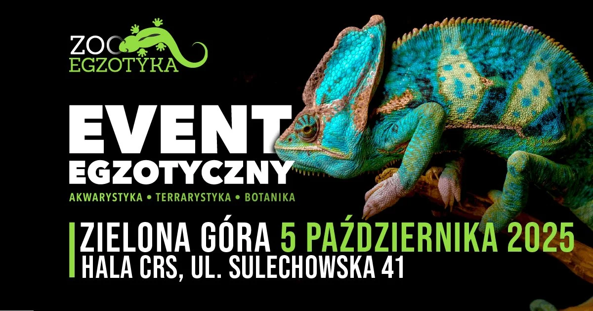 Grafika promocyjna wydarzenia Wystawa zwierząt i roślin egzotycznych w Zielonej Górze