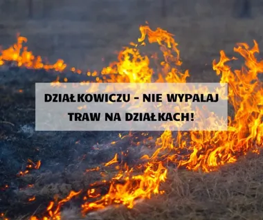 Wiosenne porządki na działkach mogą skończyć się pożarem i mandatem