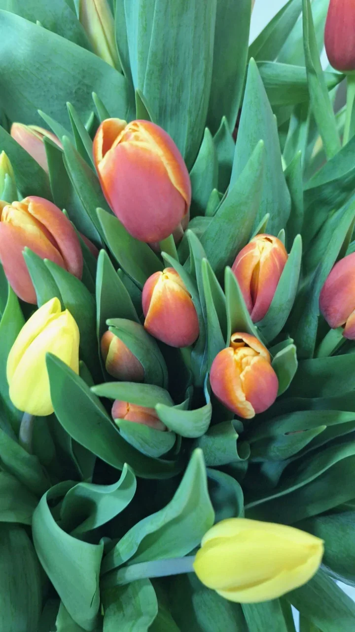 Muzyka, kawiarenka i upominki – wieczór Pań w Gminnym Centrum Kultury