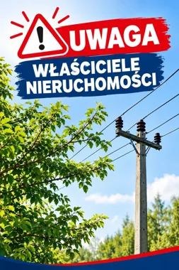 Gałęzie przy przewodach grożą awarią. W Kargowej przypominają o obowiązku