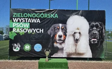 Psy rasowe, porady i tłum ludzi. W Babimoście trzy dni pod znakiem kynologii