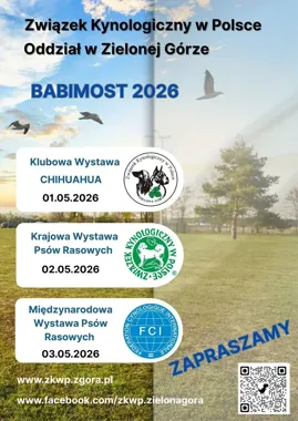 Psy rasowe wracają do Babimostu. Trzy dni kynologii tuż obok Kargowej