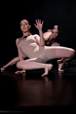 Jedenaście spektakli bez biletów. Move Festival wraca do Zielonej Góry
