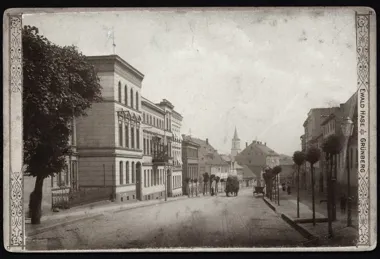 Sto lat temu berliński dziennikarz odkrył zielonogórskie wino