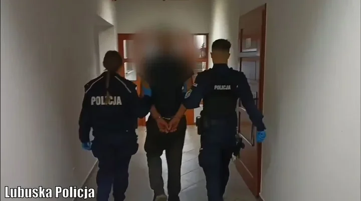 50 metrów sześciennych drewna skradzionych. Dwaj mężczyźni z zarzutami