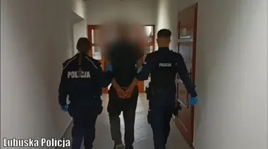 50 metrów sześciennych drewna skradzionych. Dwaj mężczyźni z zarzutami