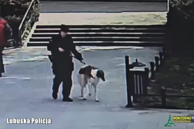 Pies uwięziony w aucie w centrum Zielonej Góry - policja zareagowała w porę