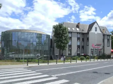 Mała kotka z Kargowej czeka na dom i pilny kontakt z urzędem